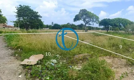 Terreno à venda no Centro Nova Tamandaré, Tamandaré-PE: 400m² de oportunidade única!