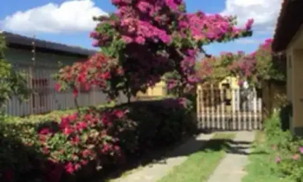 Casa com 4 quartos à venda no Centro, Esplanada 