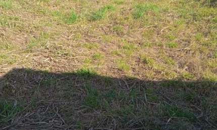 Terrenos para venda em Itupeva no bairro Nova Monte Serrat