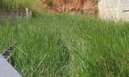 Terreno à venda, 140 m² por R$ 160.000,00 - Alto dos Ypes - São José dos Campos/SP