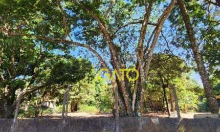 Terreno Residencial à venda, Ipês (Polvilho), Cajamar - TE0045.