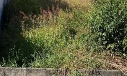 Terreno em Cajamar, Terreno no Portal dos Ipês em Cajamar/SP