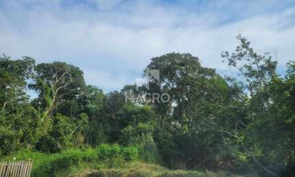 Terreno à venda no Quinta dos Açorianos, Barra Velha 