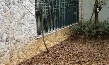 Casa comercial à venda na Alameda dos Tupiniquins, 647, Planalto Paulista, São Paulo