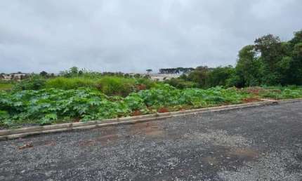 Terreno à venda no Cará-cará, Ponta Grossa 