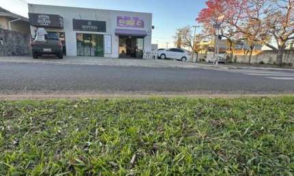 Casa em condomínio fechado para alugar na Rua Aldo Vergani, se, Oficinas, Ponta Grossa
