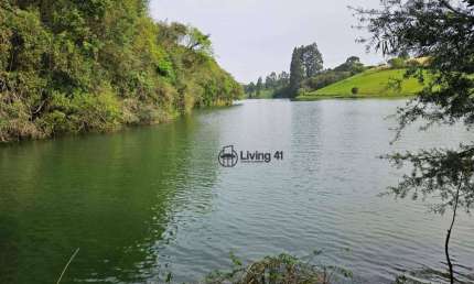 Chácara à venda, 20000 m² por R$ 2.790.000 - Ferraria - Campo Largo/PR