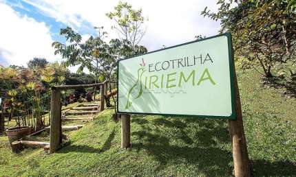Sitio Comercial auto sustentável |Sítio Arte da Terra - São Francisco Xavier