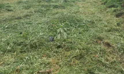 Terreno à venda no Loteamento Villa Branca, Jacareí 