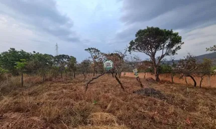Terreno à venda, 1126 m² por r$ 290.000,00 - lagoa mansões - lagoa santa/mg