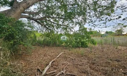 Terreno à venda, 5040 m² por R$ 6.050.000,00 - Condomínio Estância das Amendoeiras - Lagoa Santa/MG