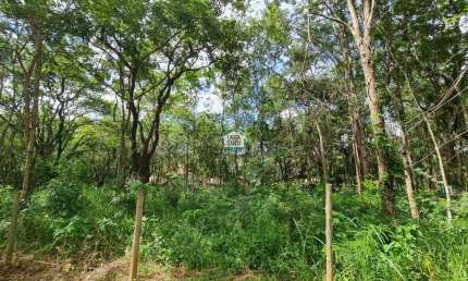 Terreno à venda, 997 m² por R$ 290.000,00 - Condomínio Canto do Riacho - Lagoa Santa/MG