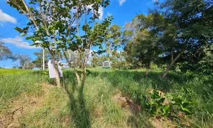 Terreno à venda, 1000 m² por R$ 240.000,00 - Condomínio Versailles Ville de France - Lagoa Santa/MG
