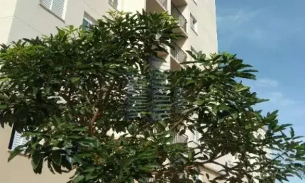 Apartamento com 2 quartos à venda no jardim paranapanema, campinas , 49 m2 por r$ 320.000