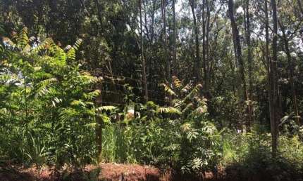 Terreno à venda no Parque Niágara, Campo Limpo Paulista  por R$ 170.000