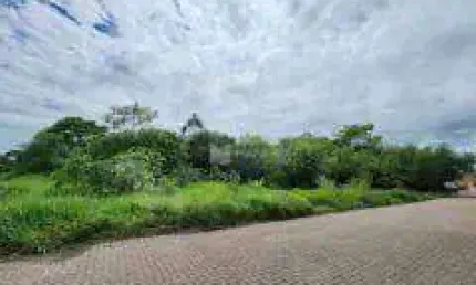 Terreno à venda, 12030 m² por R$ 3.575.000,00 - Passo do Feijó - Alvorada/RS