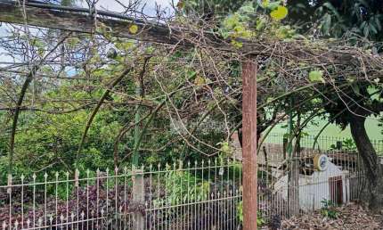 Terreno à venda, 360 m² por R$ 190.000,00 - Sumaré - Alvorada/RS