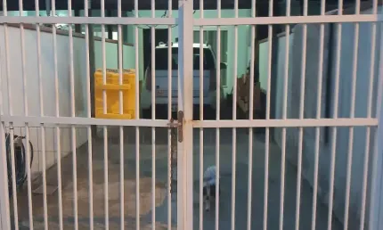Casa com 2 quartos à venda no Morro do Meio, Joinville 