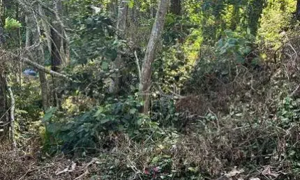 Terreno para venda no Condomínio Arujazinho I II III