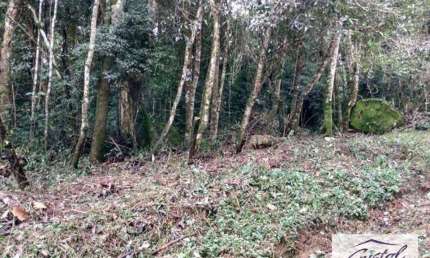 Terreno Residencial à venda, Caucaia do Alto, Cotia - .