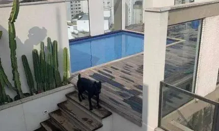 Cobertura Residencial à venda, Vila Morumbi, São Paulo - .