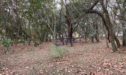 Terreno à venda, 1575 m² por r$ 1.450.000,00 - cotia - cotia/sp