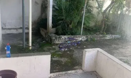 Casa com 1 dormitório para alugar, 40 m² por r$ 1.074,00 - vila nova alba - são paulo/sp