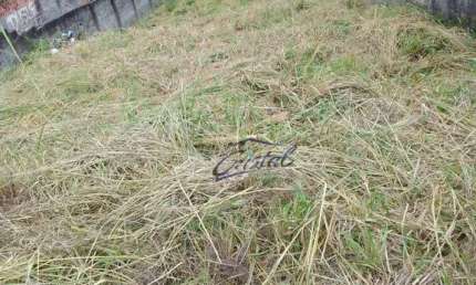 Terreno à venda, 400 m² por R$ 1.100.000,00 - Jardim Bonfiglioli - São Paulo/SP