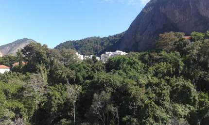 Maravilhosa Oportunidade Morar/Investir (55M² no Iptu) Linda Vista Floresta, Play, Bicicletário, Bosque, Garagem Alugar (Paz e Segurança)