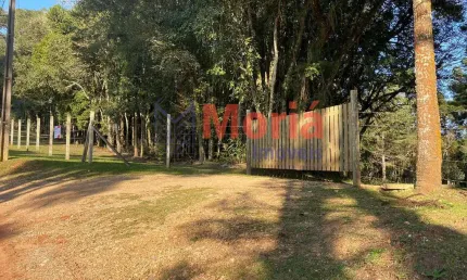 Chácara / sítio à venda na Rua Paulo Torques, 2356, Santa Gema, Colombo, 31563 m2 por R$ 1.100.000