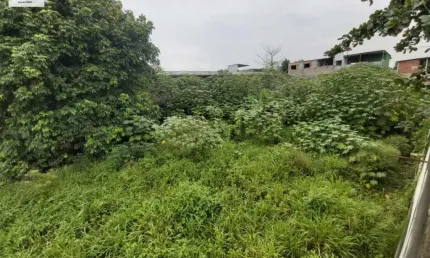 Terreno para Venda em Vila Santa Cruz Duque de Caxias-RJ