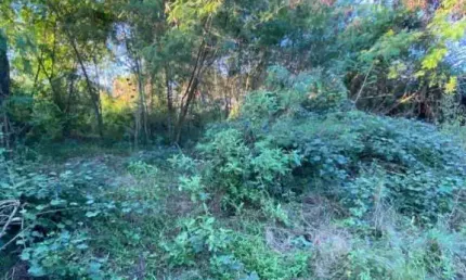 Terreno para venda em jardim rotsen duque de caxias-rj