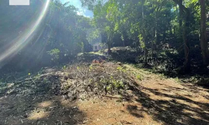 Espetáculo de sitio com 2 nascentes, 40mil m² em Santo Antônio