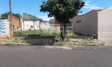 Terreno à venda no São Paulo, Marília 