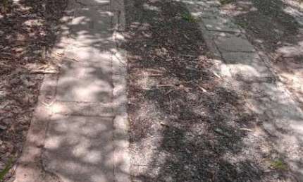 Terreno à venda na Rua João Narciso, Capim Rasteiro, Contagem