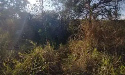 Terreno à venda na Avenida das Palmeiras, Duque de Caxias, Betim