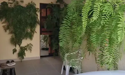 ALUGO LINDA CASA/SOBRADO MOBILIADA NO BAIRRO CAMPO GRANDE!