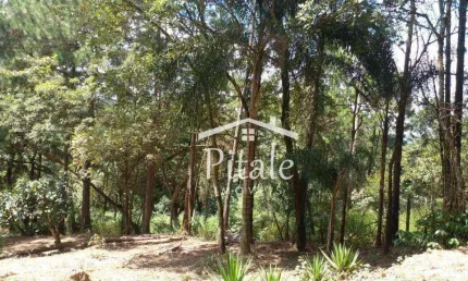 Terreno à venda, 5000 m² por R$ 160.000,00 - Santa Ella - Araçariguama/SP