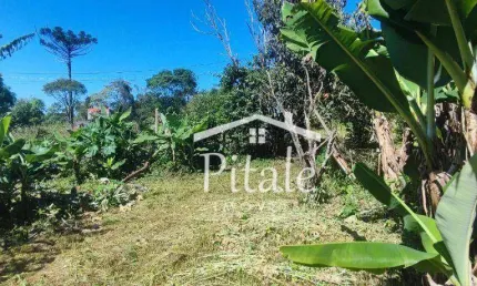 Terreno à venda, 200 m² por r$ 130.000,00 - pereiras - cotia/sp