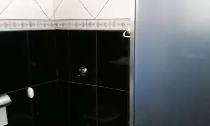 Casa com 3 quartos à venda no Jardim Santa Mena, Guarulhos 