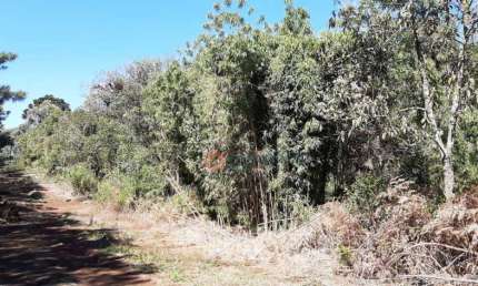Fazenda à venda no Guará, Guarapuava 