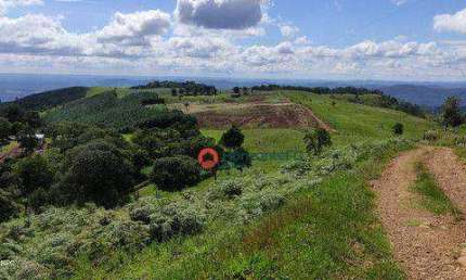 Fazenda de 125 alqueires, 45 Alqueires de pasto à 43 km de Guarapuava PR.