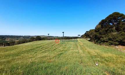 Sítio com 27 à venda, por R$ 5.300.000,00 Zona Rural - Guarapuava/PR