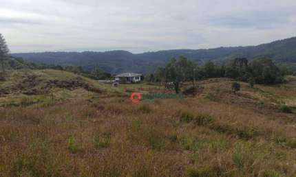 Chácara com 4 Alqueires à venda, 108900 m² por R$ 700.000,00 - Guabiroba - Guarapuava/PR