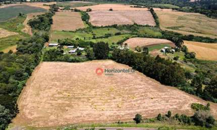Chácara à venda, 10 alqueires por R$ 4.000.000 - Palmeirinha - Guarapuava/PR