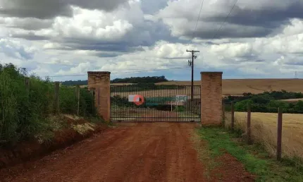 Terreno à venda, 2364 m² por R$ 240.000 - Aeroporto - Guarapuava/PR