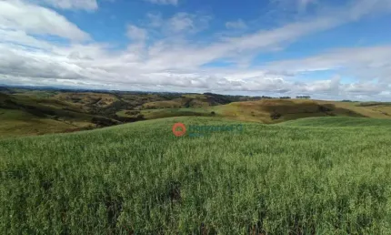 Chácara à venda, 33 alqueires por r$ 6.500.000 - zona rural - palmital/pr