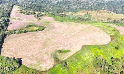 Fazenda à venda, 130 alqueires por R$ 13.000.000,00 - Entre Rios - Guarapuava/PR