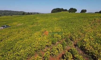 Fazenda à venda, 275 alqueires por R$ 46.750.000,00 - Zona Rural  - PR.