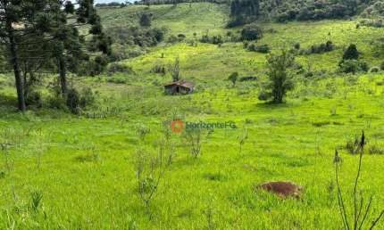 Chácara à venda, 05 alqueires por R$ 1.300.000 - Guarapuava/PR